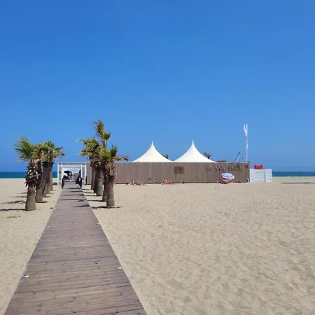 Front De Avec Terrasse Et Parking Prive - 4 Pers - Fr-1-794-152 Canet-en-Roussillon